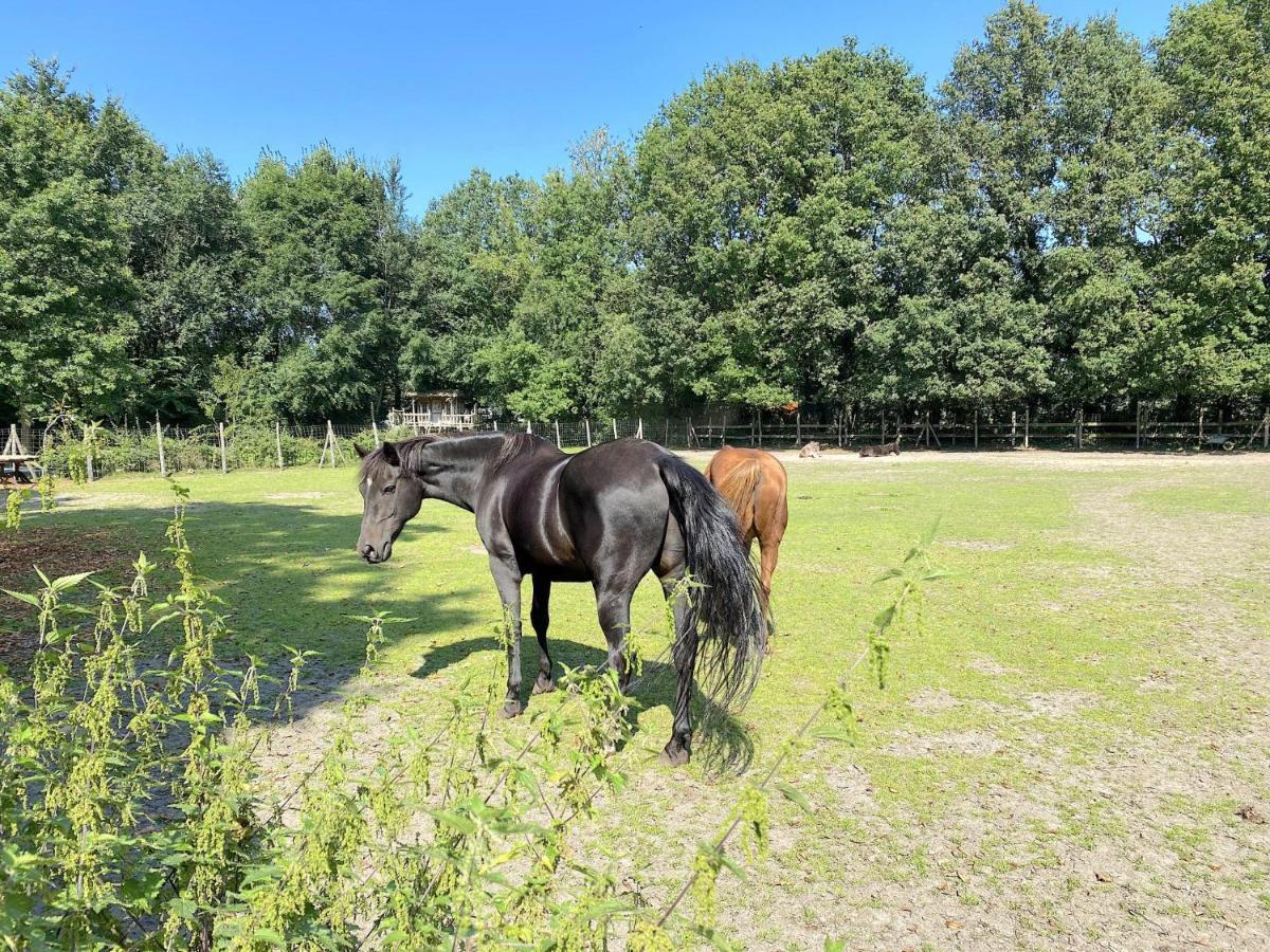 Villa Pipowagen Het Oventje Zeeland Esterno foto